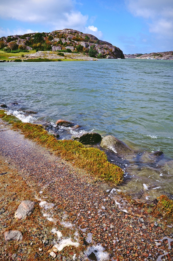 Nikon D5000 sample photo. Sommar på tjörn photography