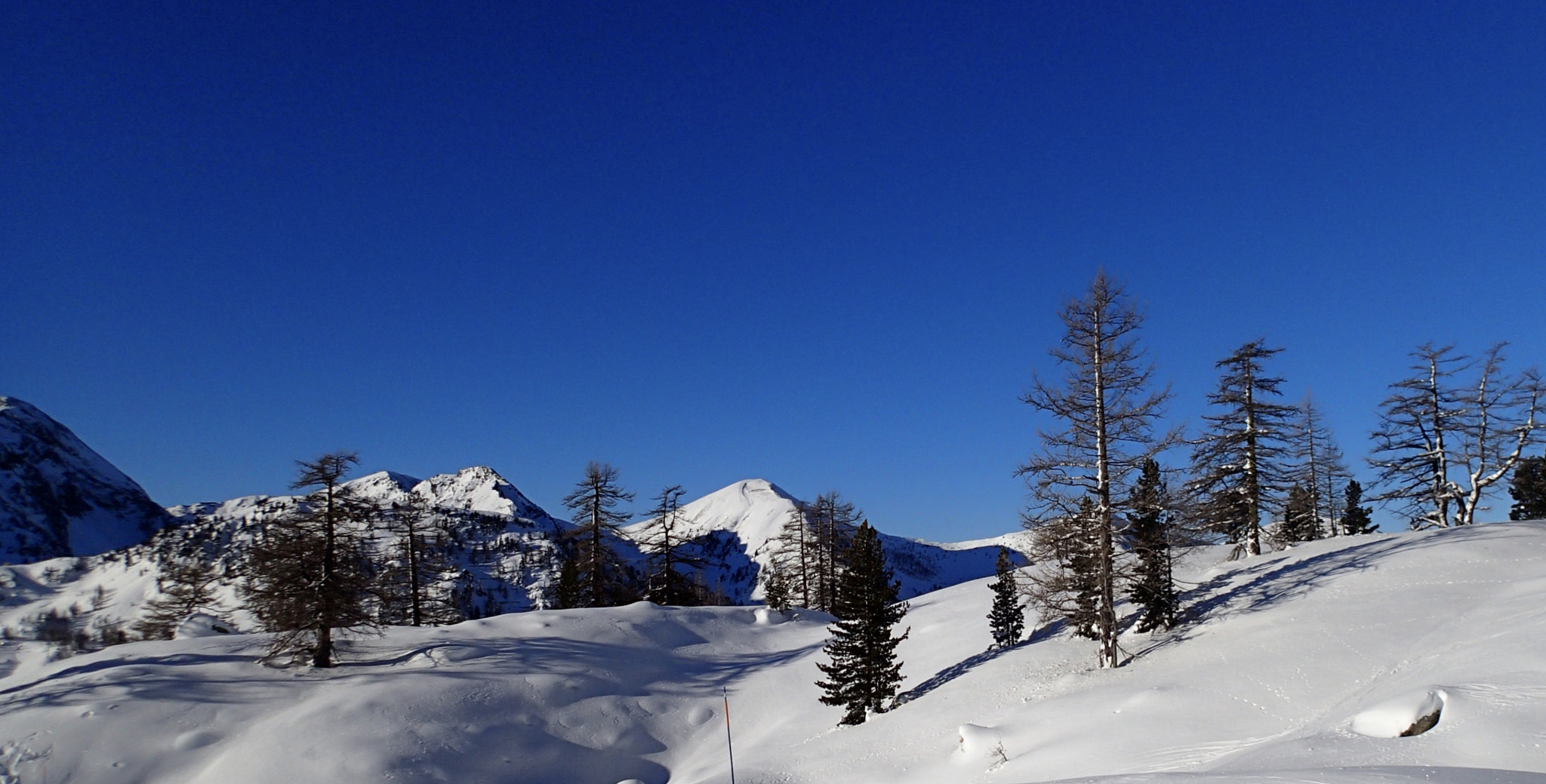 Olympus TG-1 sample photo. White and blue photography