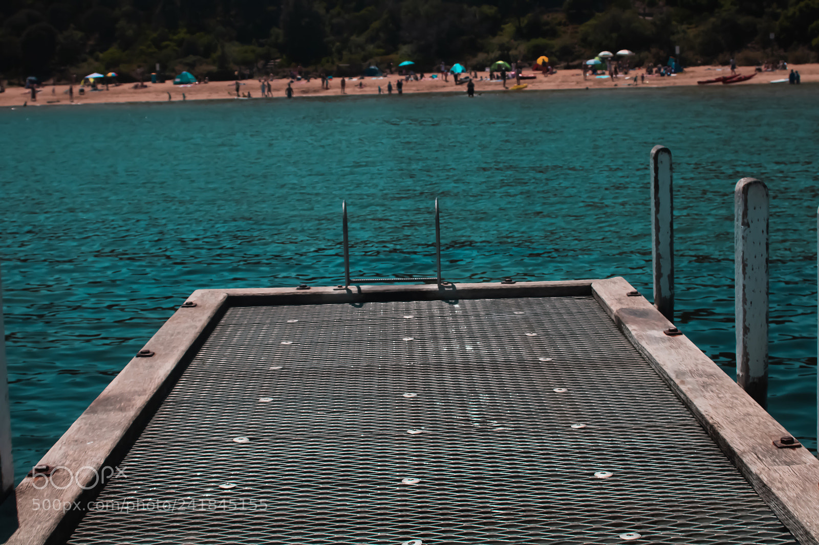 Canon EOS 750D (EOS Rebel T6i / EOS Kiss X8i) sample photo. Untitled photography