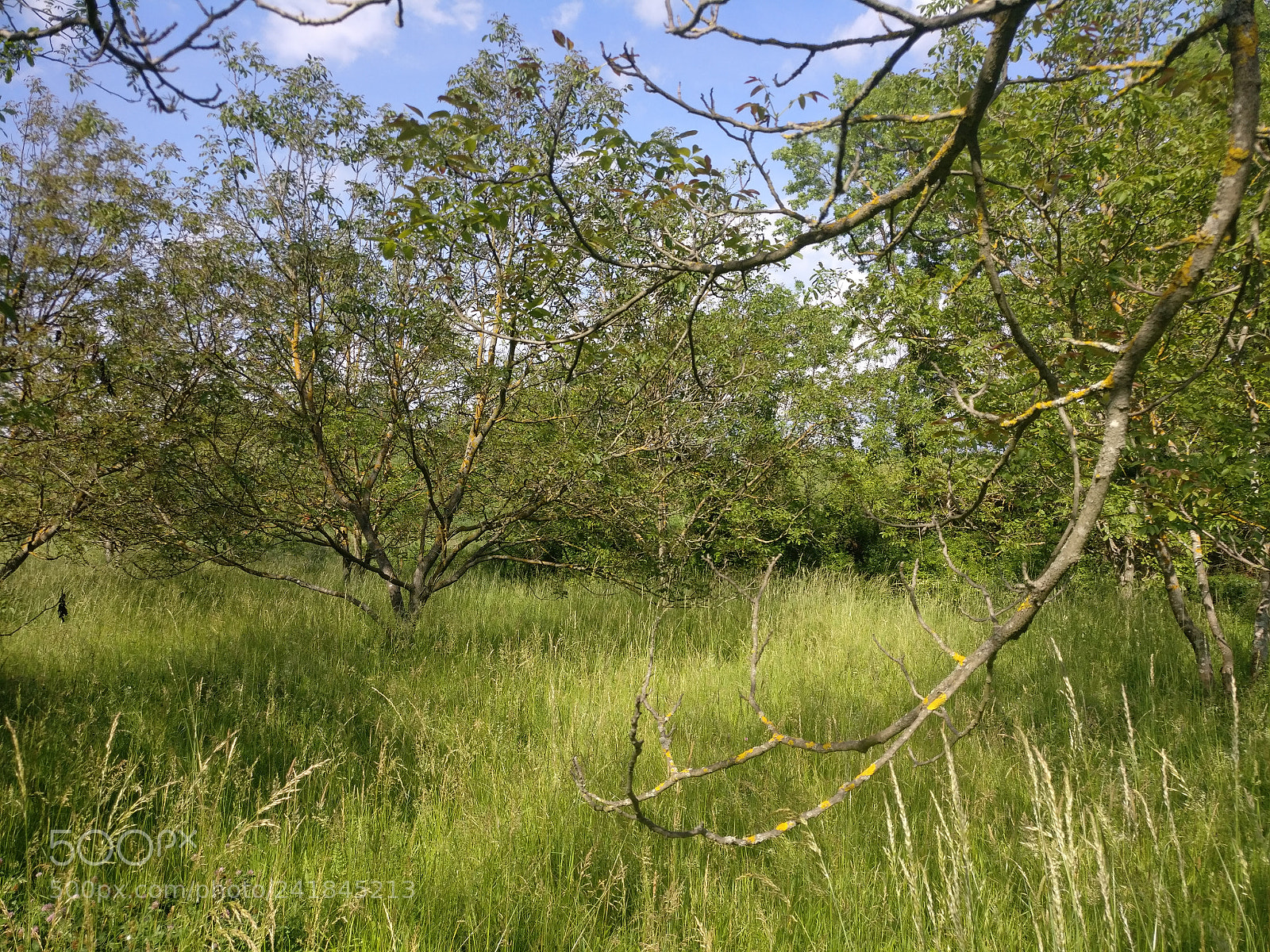 OnePlus A3003 sample photo. Img_20170525_171622.jpg photography