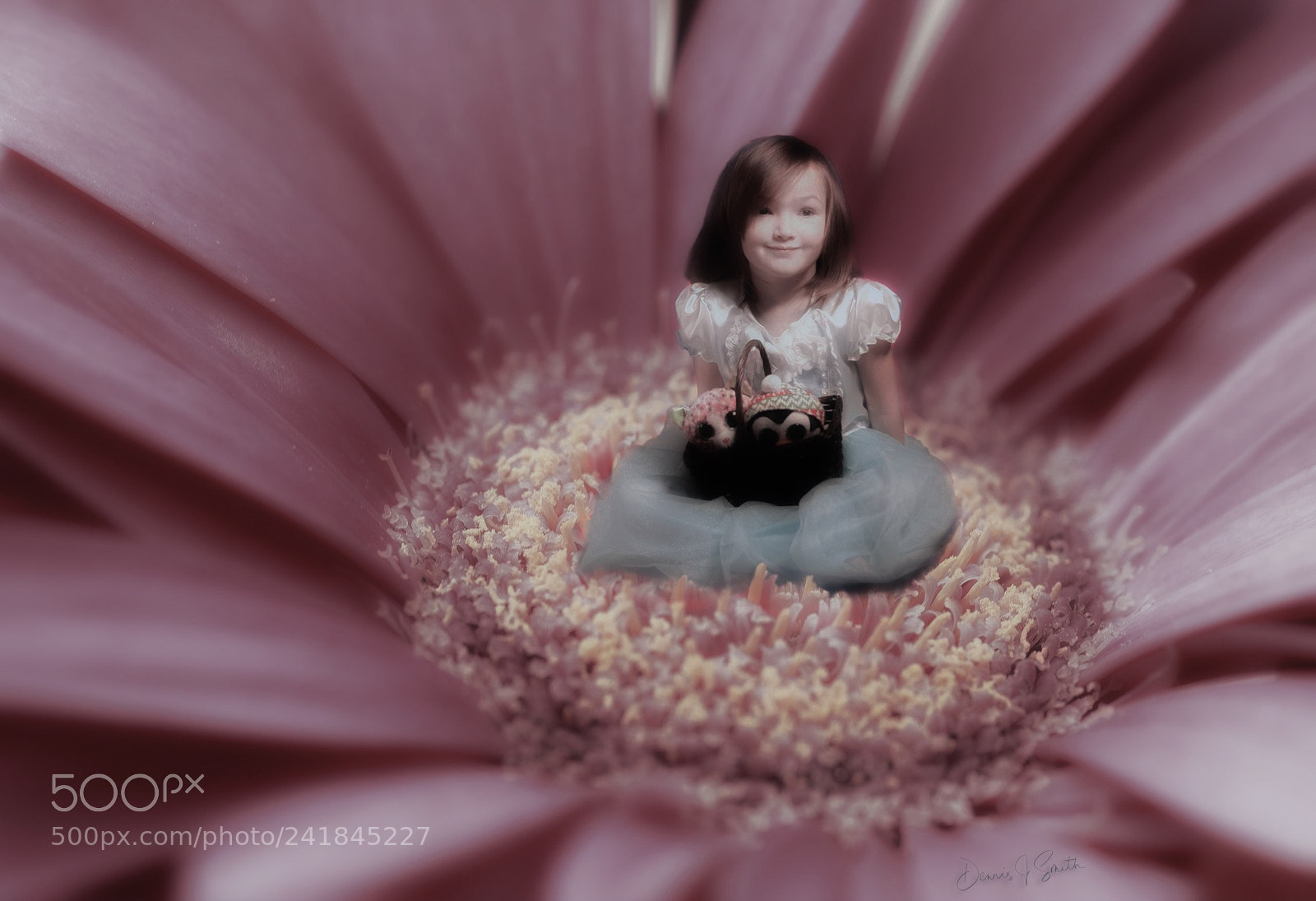 Nikon D4 sample photo. Flower girl photography