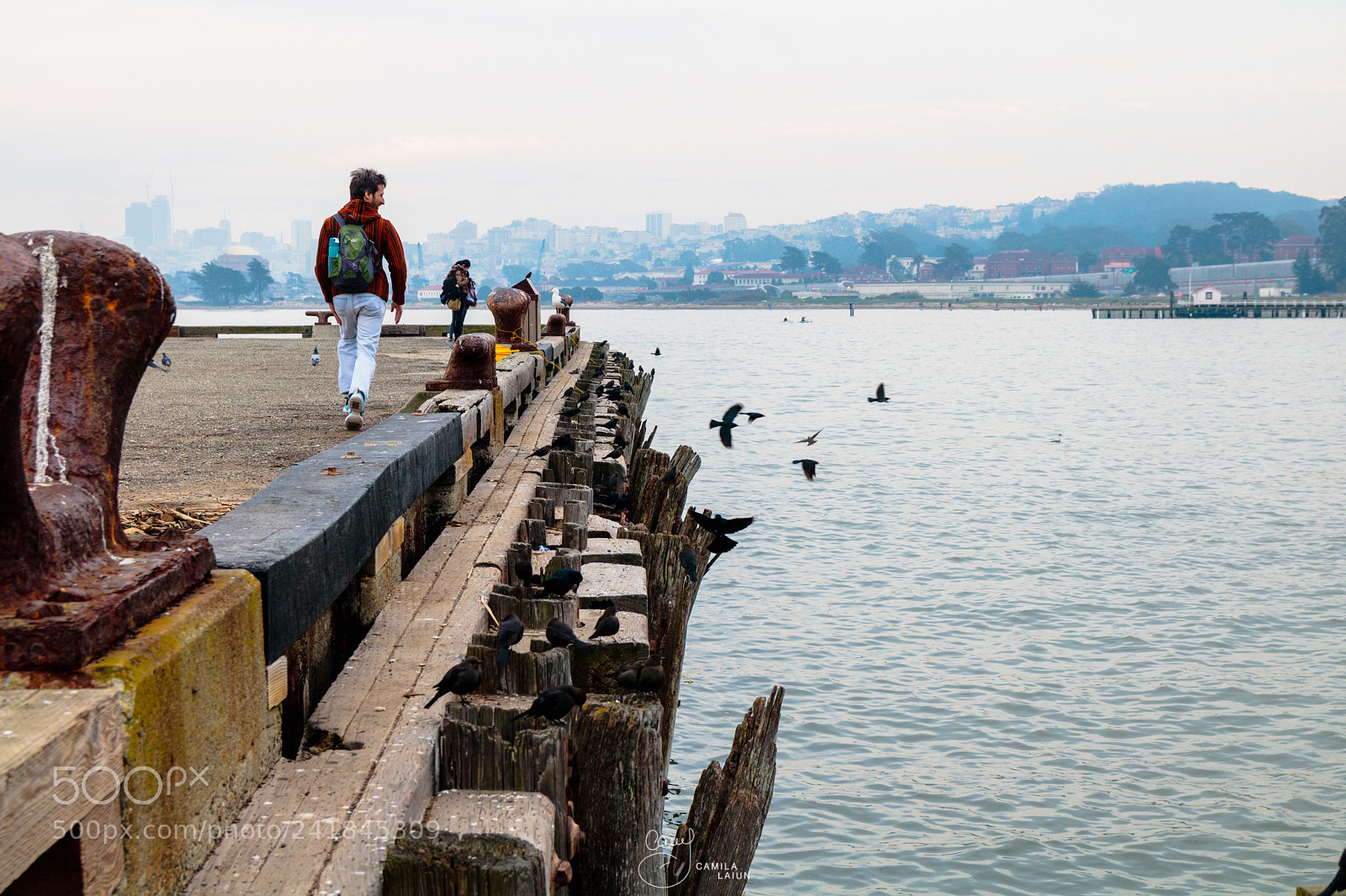Canon EOS 750D (EOS Rebel T6i / EOS Kiss X8i) sample photo. San francisco photography