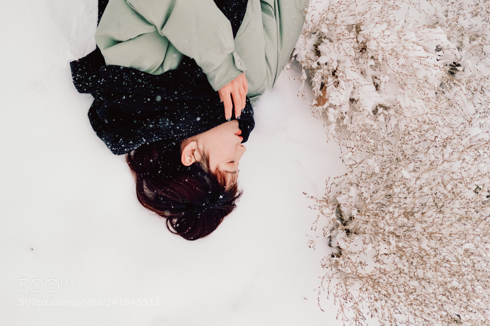 Fujifilm X-T2 sample photo. Untitled photography