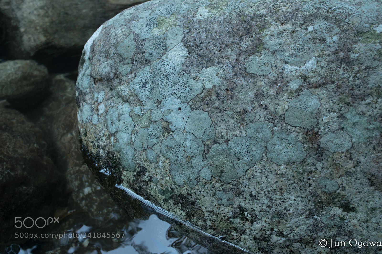 Pentax K-70 sample photo. Yakushima forest - stone photography