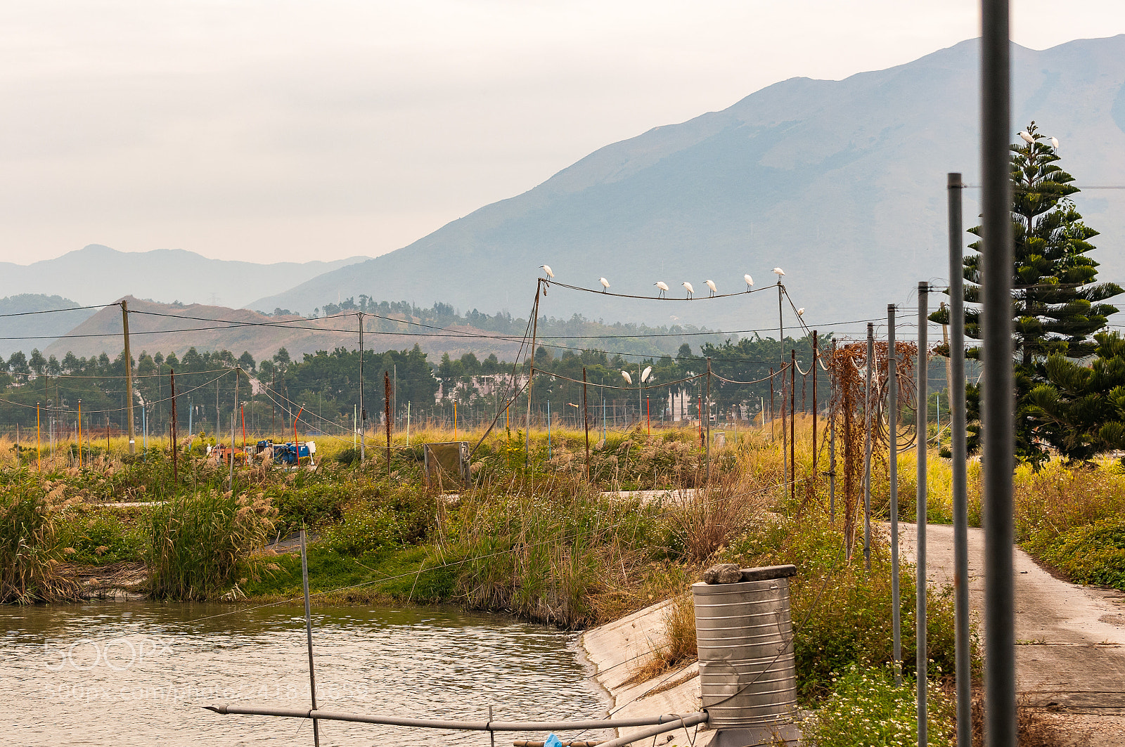 Nikon D300S sample photo. *** photography
