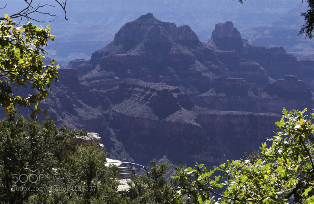 Panasonic Lumix DMC-FZ200 sample photo. North rim photography