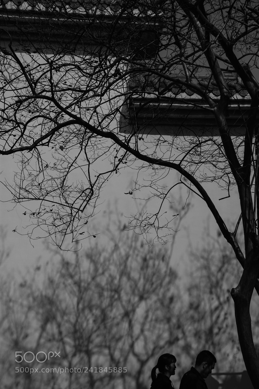 Nikon D7200 sample photo. 路过 photography