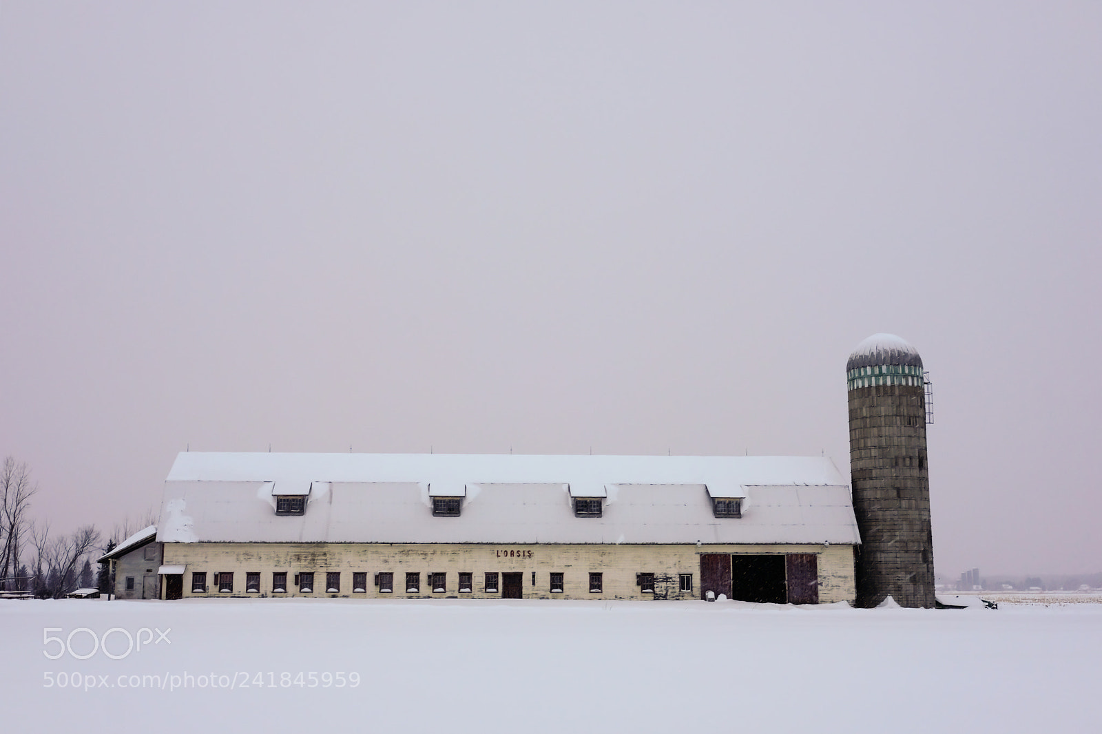 Fujifilm X-Pro2 sample photo. Winter photography