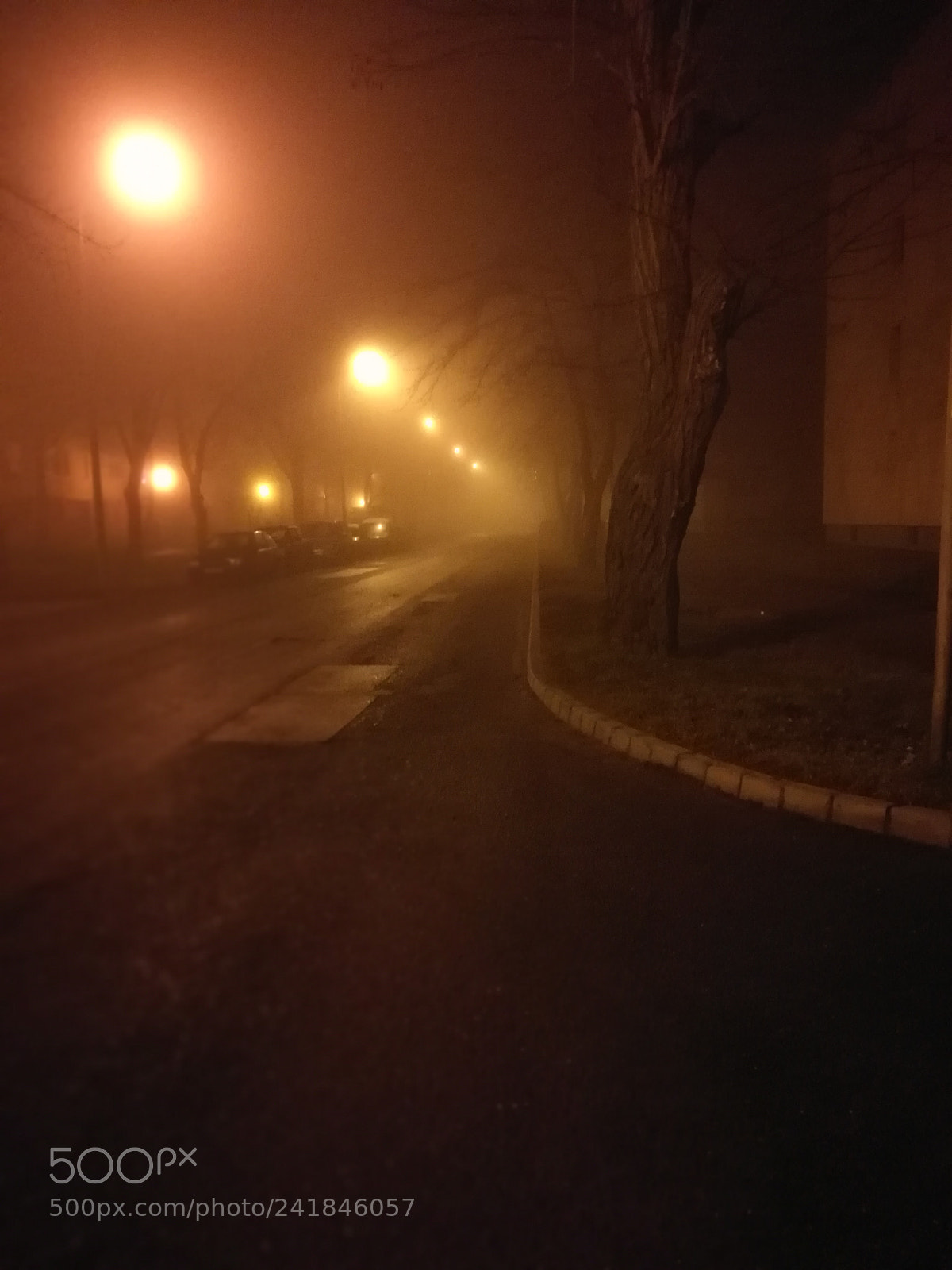 HUAWEI P9 sample photo. Untitled photography