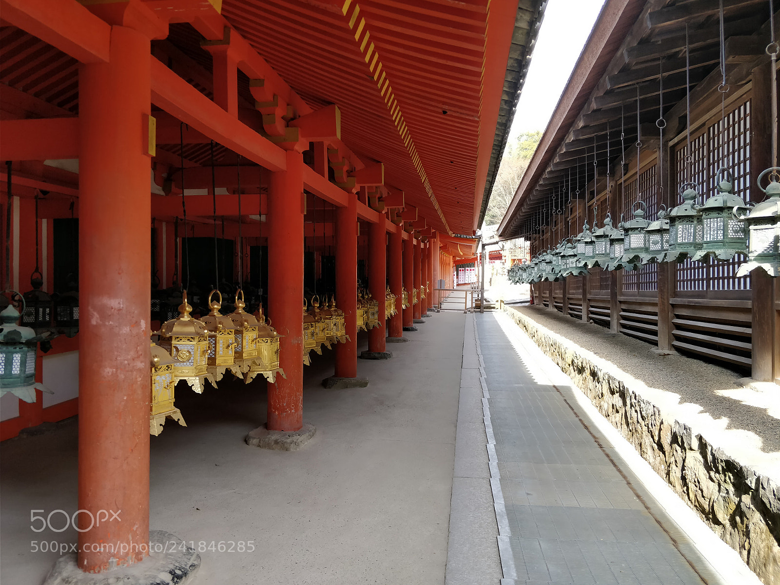 OnePlus 5 sample photo. 神社 photography