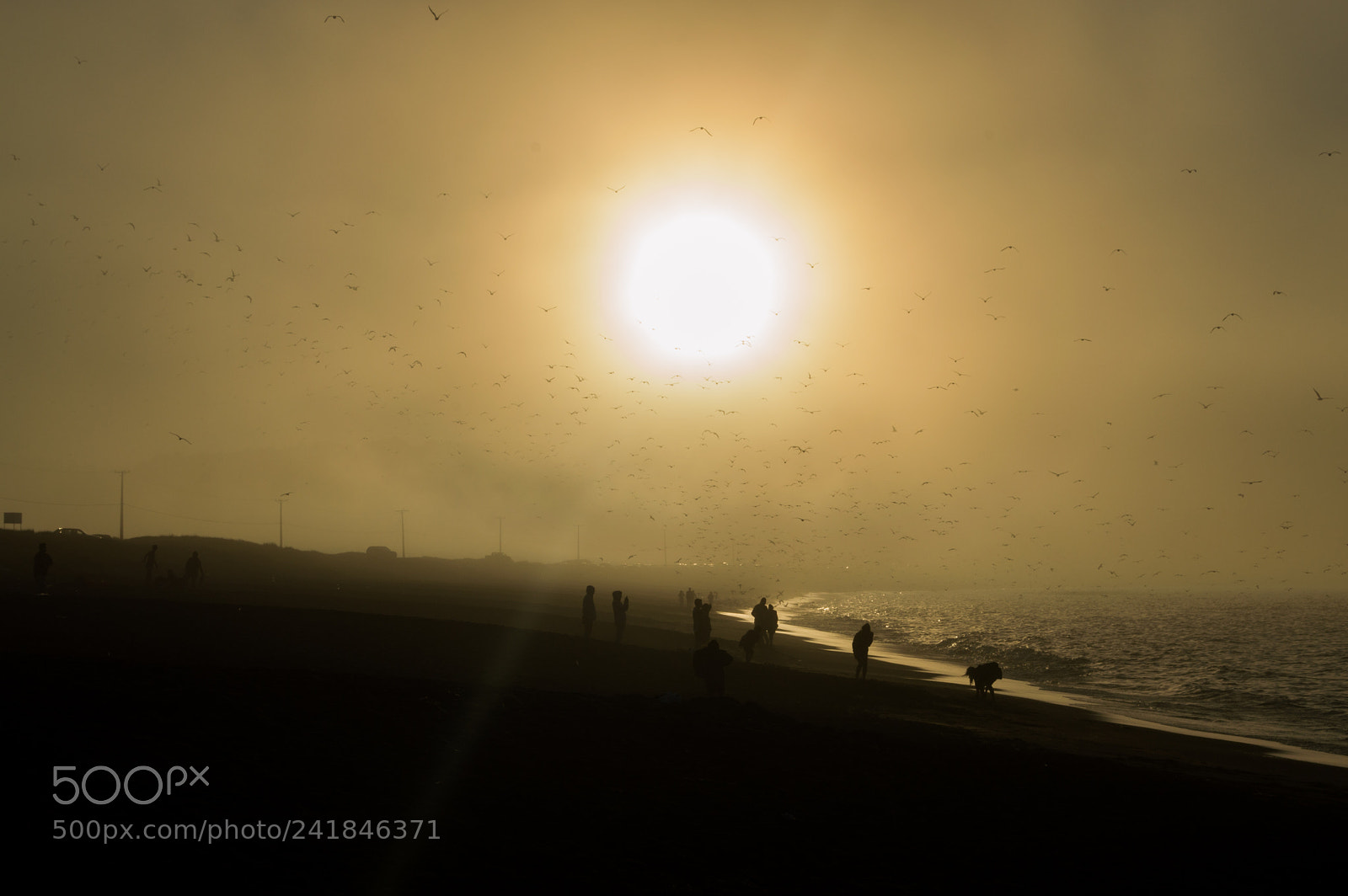Nikon D3200 sample photo. Atardecer photography
