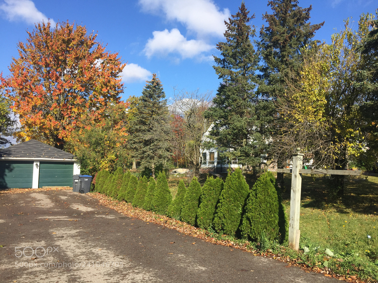 Apple iPhone 6 sample photo. Driveway photography