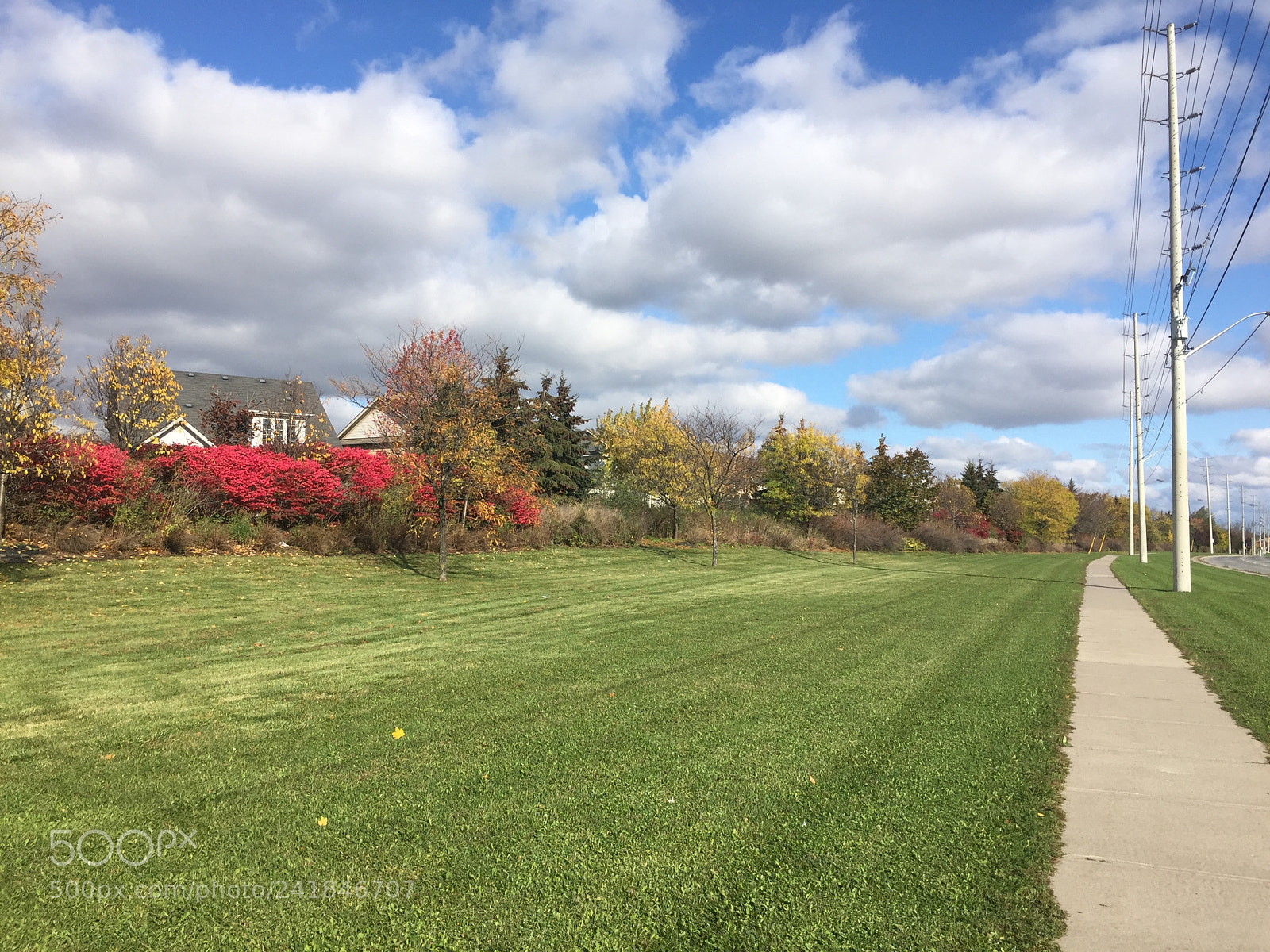 Apple iPhone 6 sample photo. Sidewalk photography