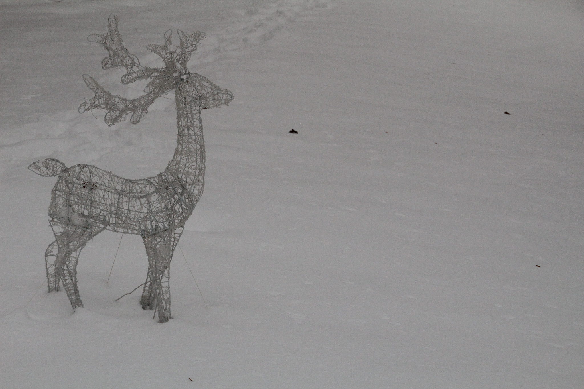 Canon EOS 1200D (EOS Rebel T5 / EOS Kiss X70 / EOS Hi) sample photo. Reindeer decoration. 馴鹿裝飾。 decorazione renna photography