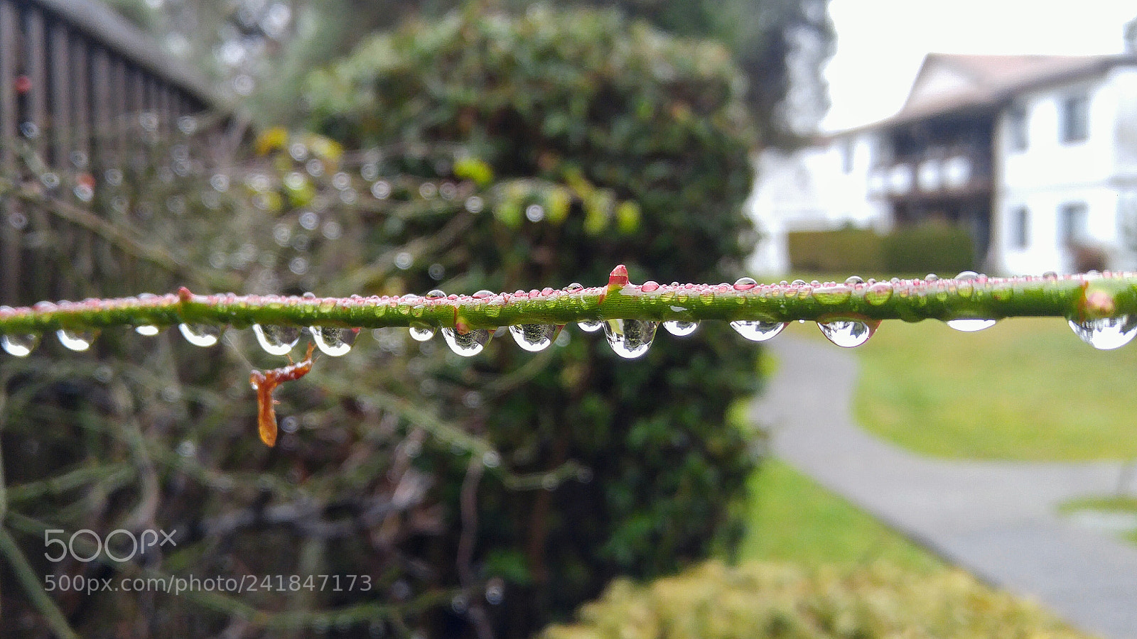 LG G4 sample photo. All lined up photography