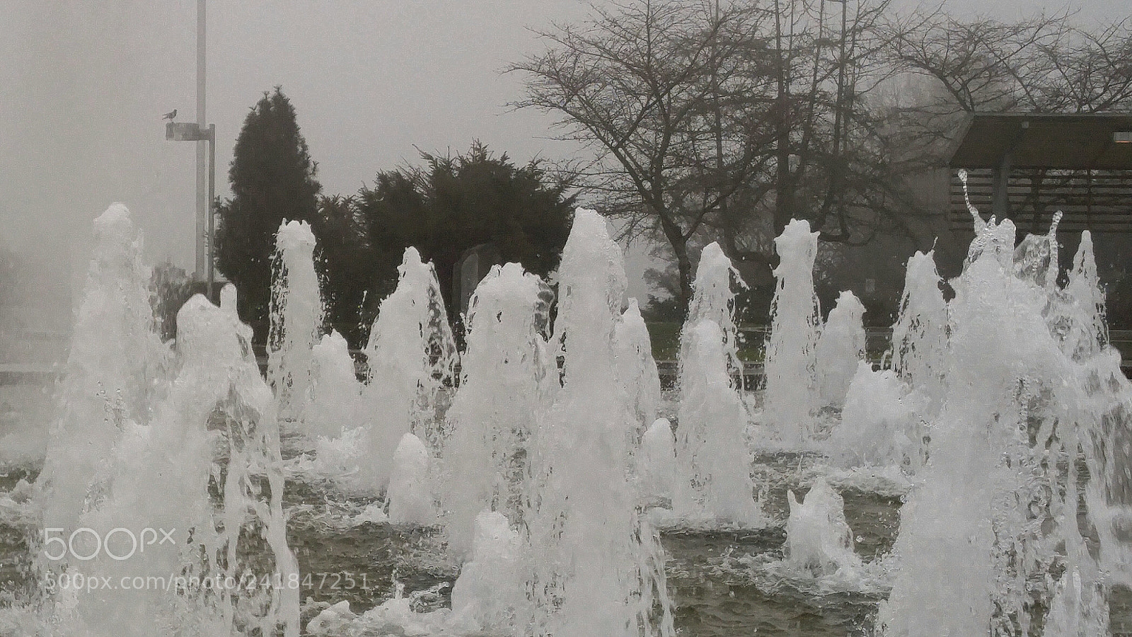 LG G4 sample photo. Foggy afternoon photography