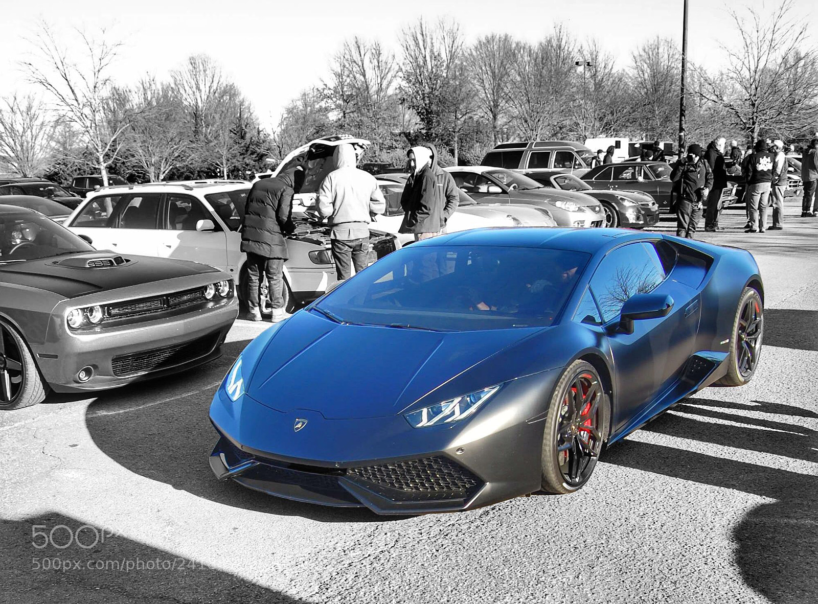 Nikon D40 sample photo. Lamborghini in the wild. photography