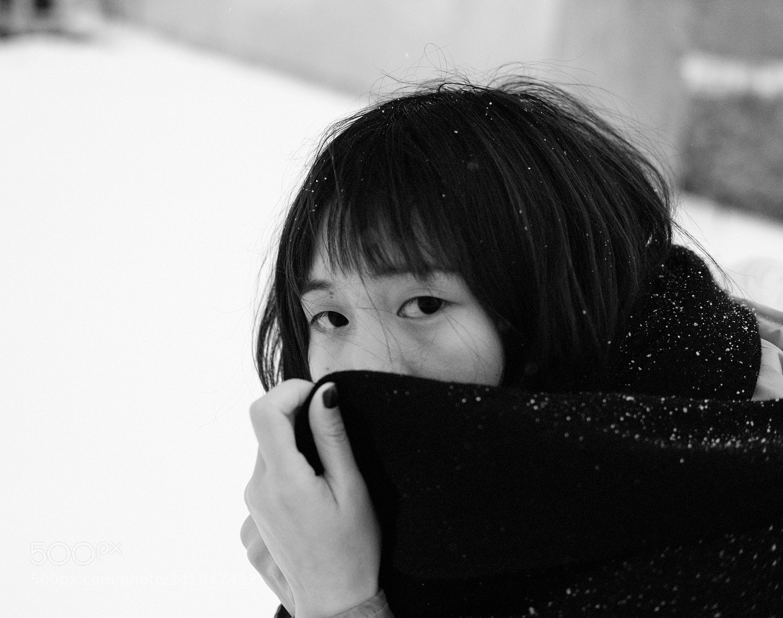 Fujifilm X-T2 sample photo. Untitled photography