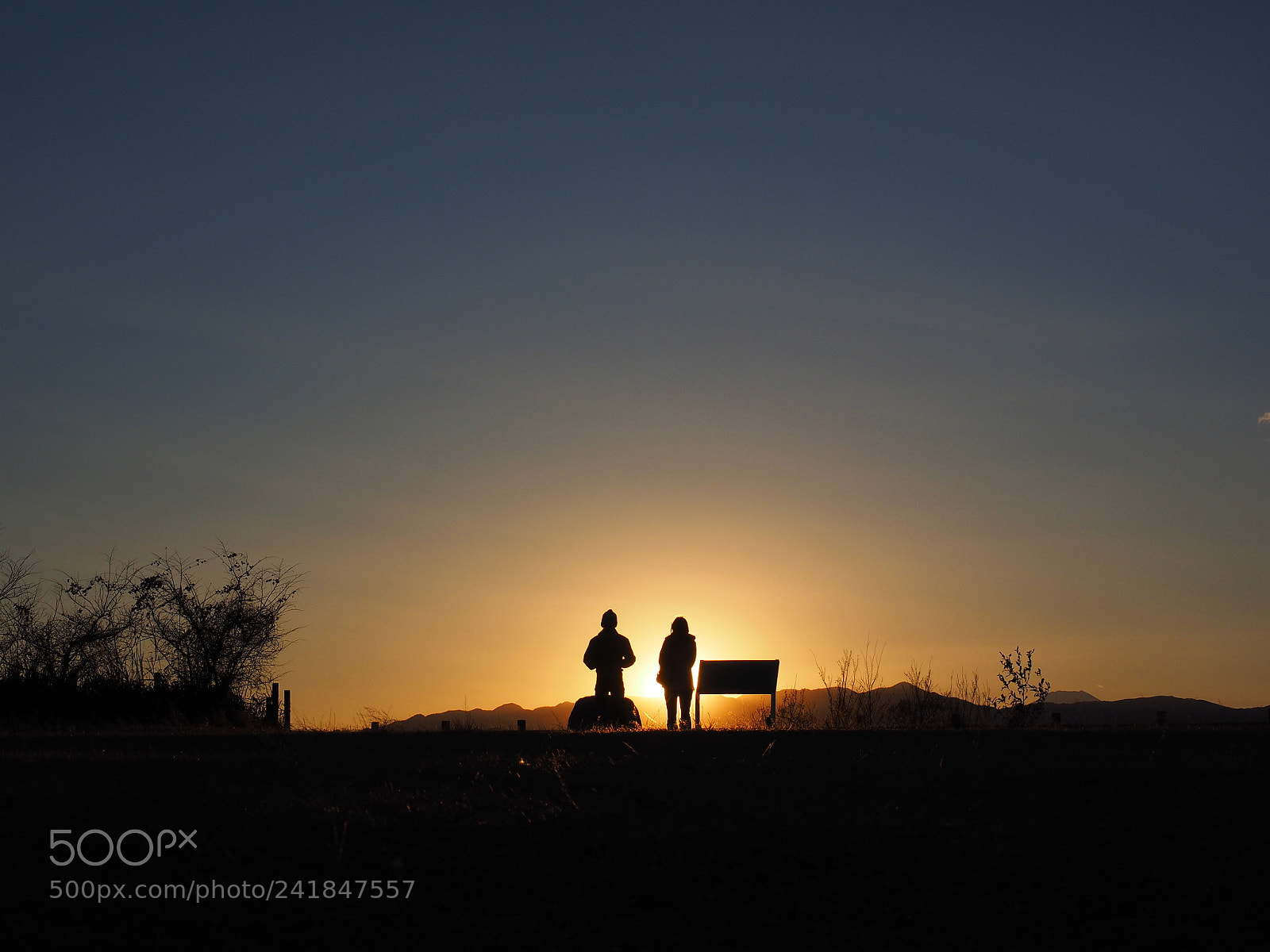 Olympus OM-D E-M1 sample photo. Sunset scene1 photography