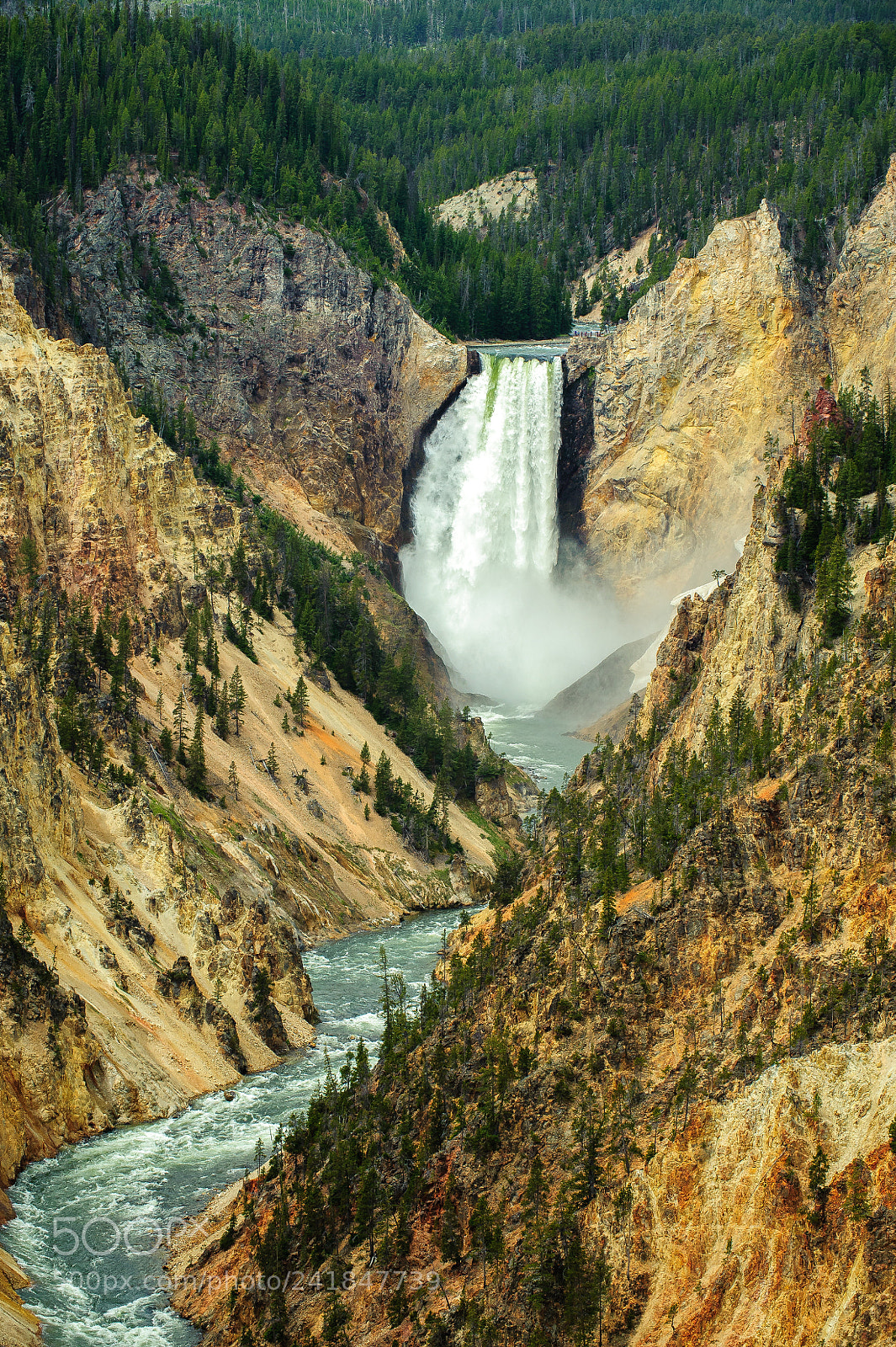 Nikon D3 sample photo. Lower yellowstone falls photography
