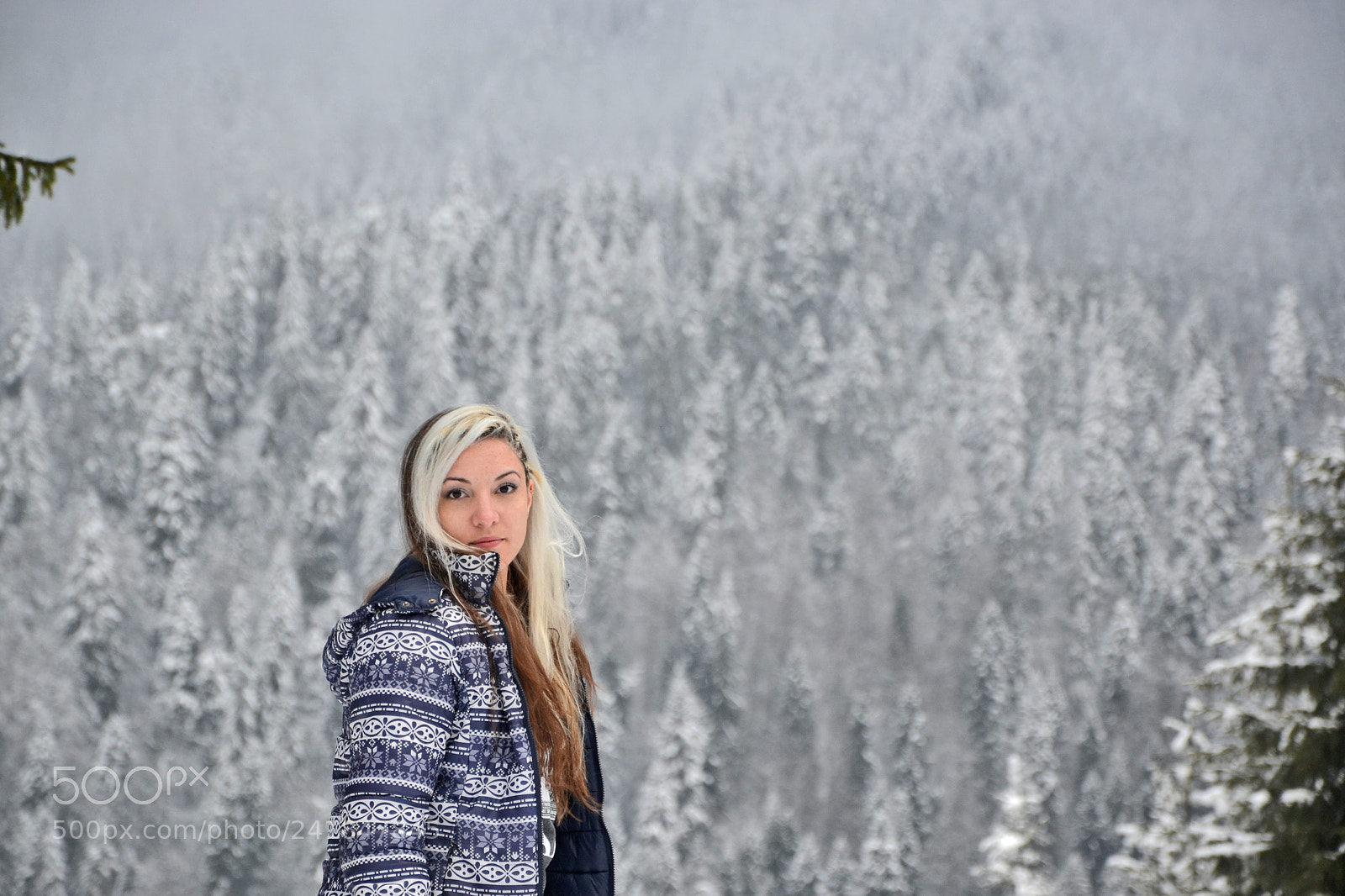 Nikon D3100 sample photo. Winter walk photography