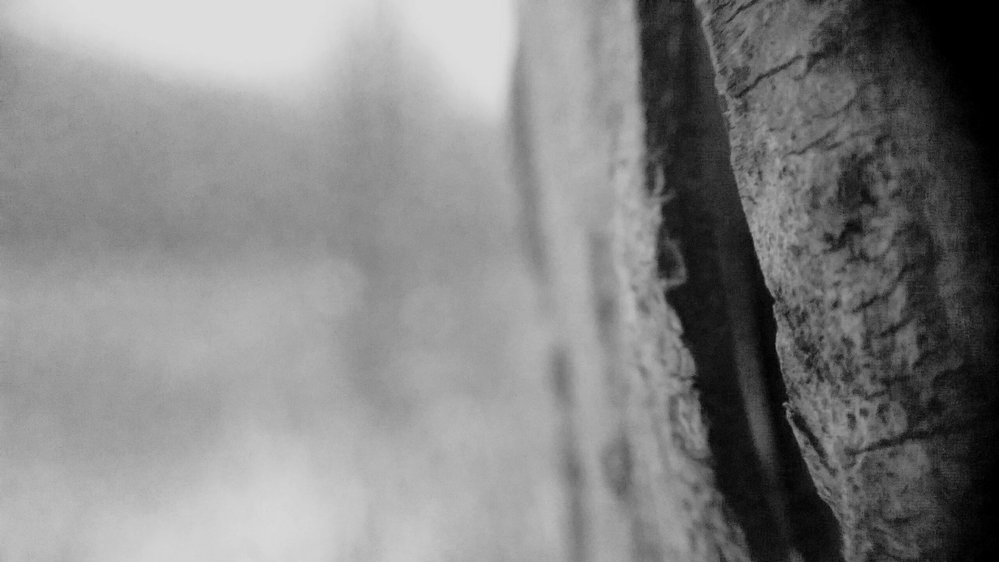 Motorola Moto E with 4G LTE (2nd Gen) sample photo. Bw wood photography