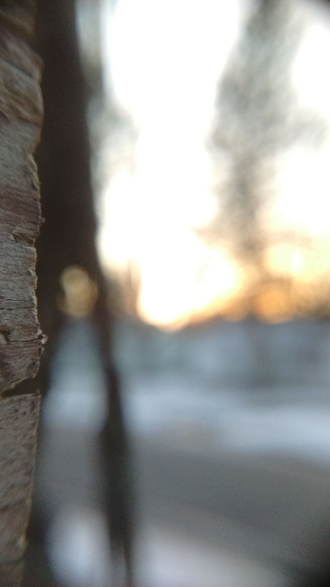 Motorola Moto E with 4G LTE (2nd Gen) sample photo. Sunset wood photography