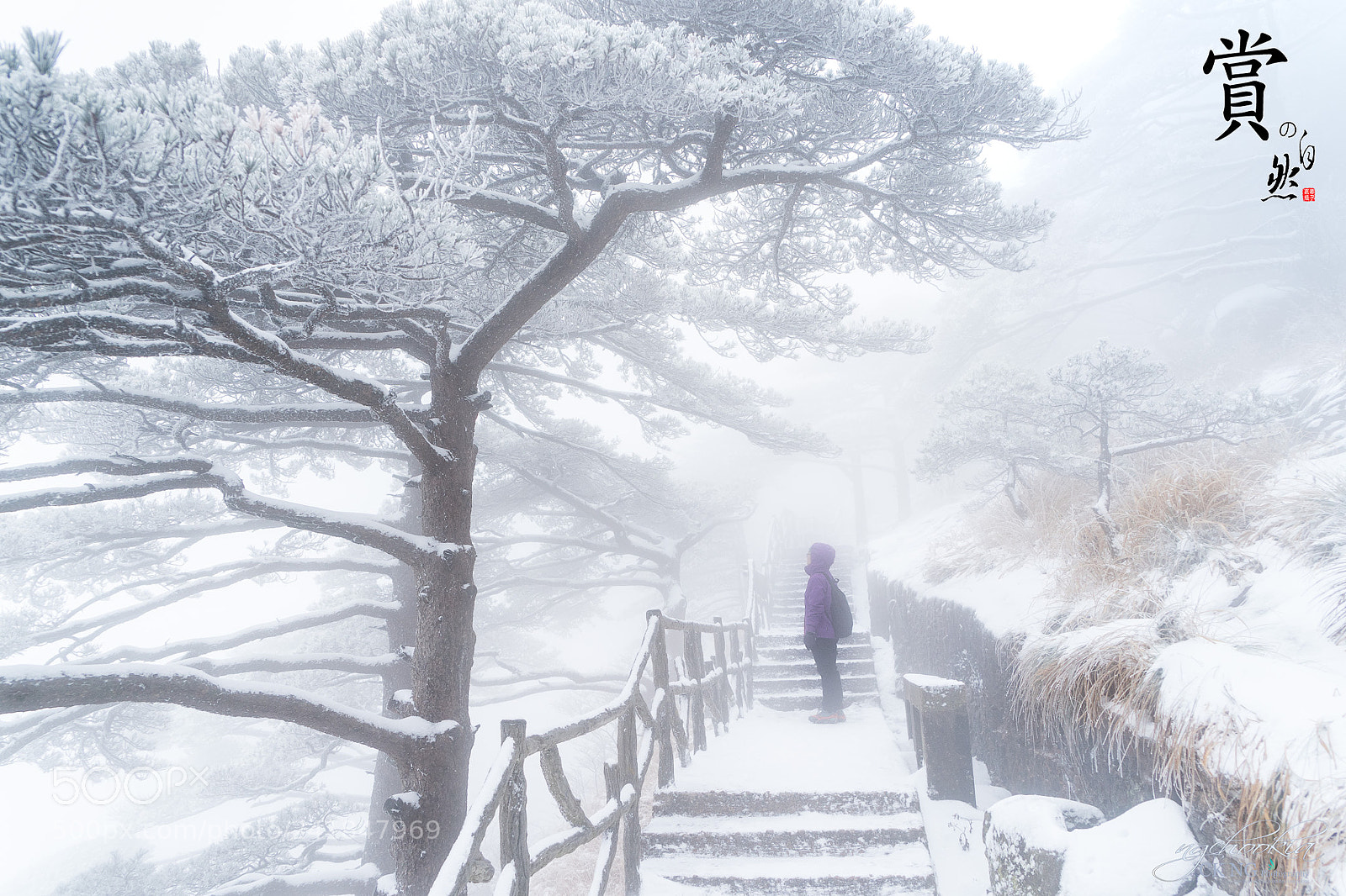 Sony a9 sample photo. 赏.feel ii 黃山 photography