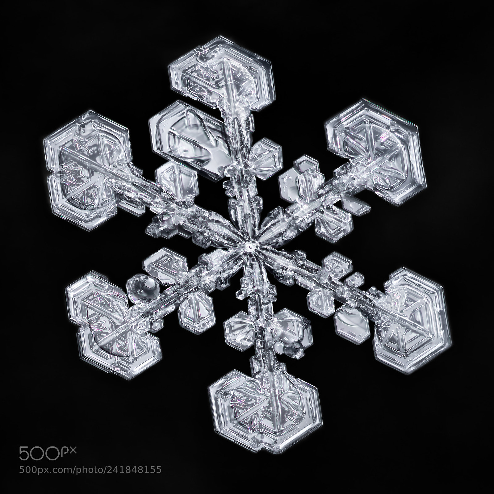Canon EOS-1D X Mark II sample photo. Snowflake-a-day no. 32 photography
