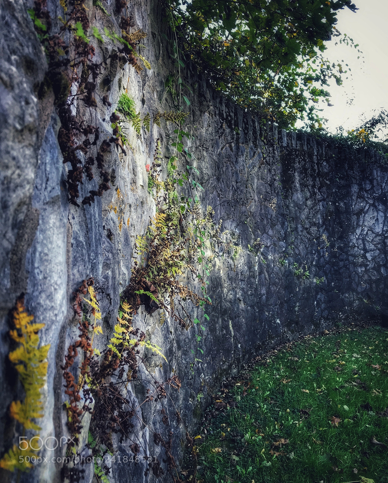 Apple iPhone 7 Plus sample photo. Just on old stone photography