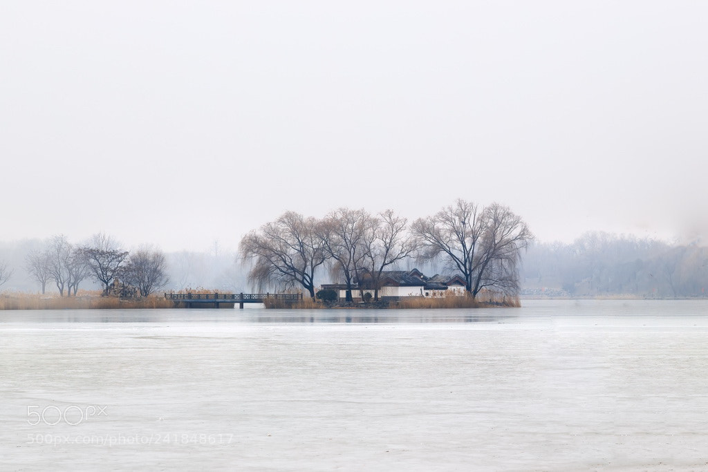 Canon EOS 6D Mark II sample photo. A foggy morning photography