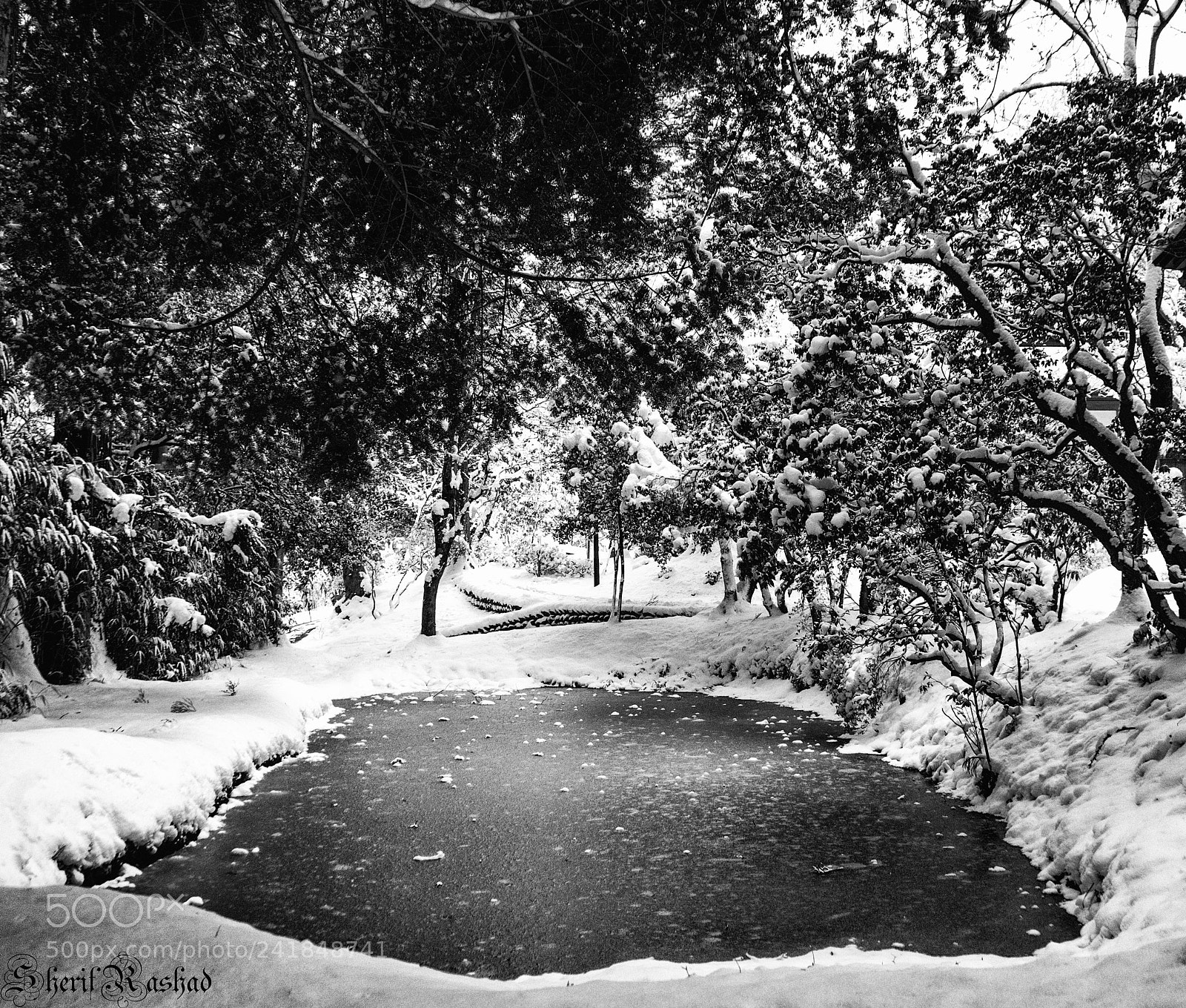 Pentax K-50 sample photo. Frozen in black and photography
