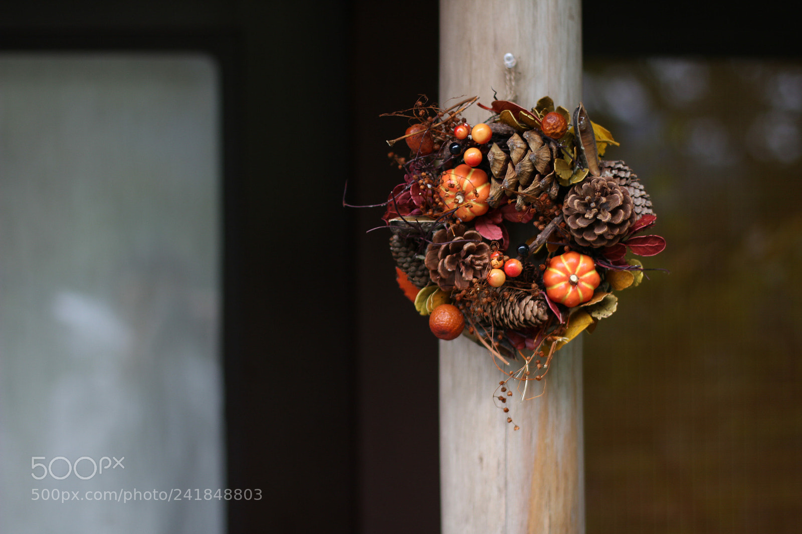 Canon EOS 550D (EOS Rebel T2i / EOS Kiss X4) sample photo. Seasons in basket photography