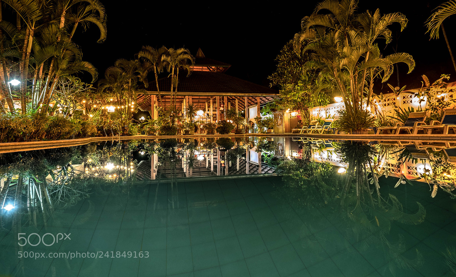 Olympus OM-D E-M1 Mark II sample photo. “jungle lodge” photography