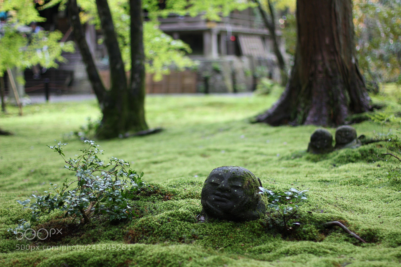 Canon EOS 550D (EOS Rebel T2i / EOS Kiss X4) sample photo. Ksitigarbha bodhisattva photography