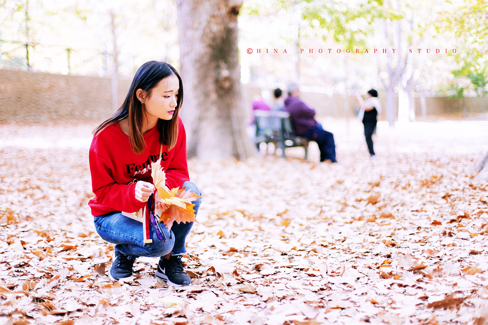 Canon EOS 6D Mark II sample photo. 寻找叶子 photography