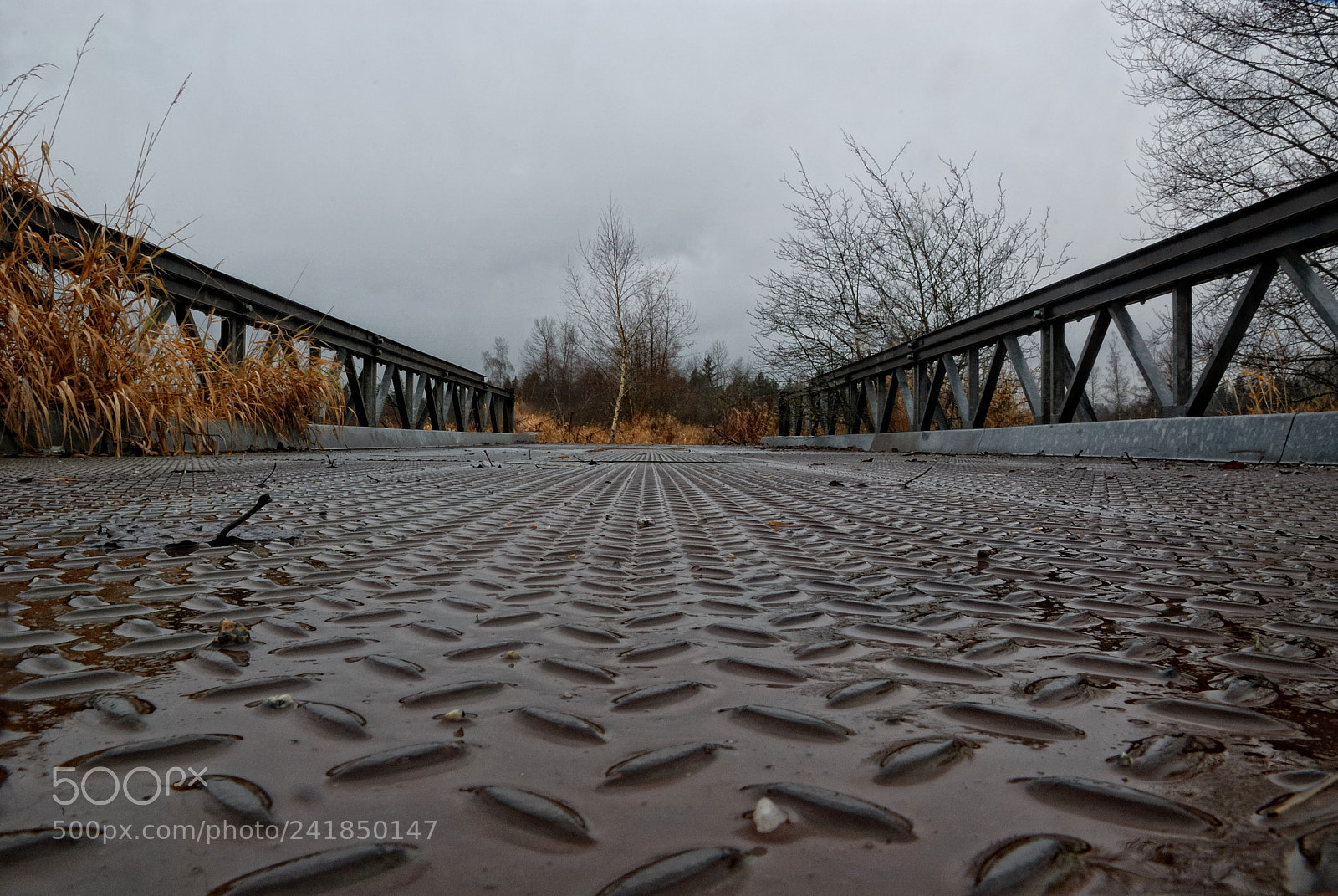Nikon D80 sample photo. Bridge to nowhere photography