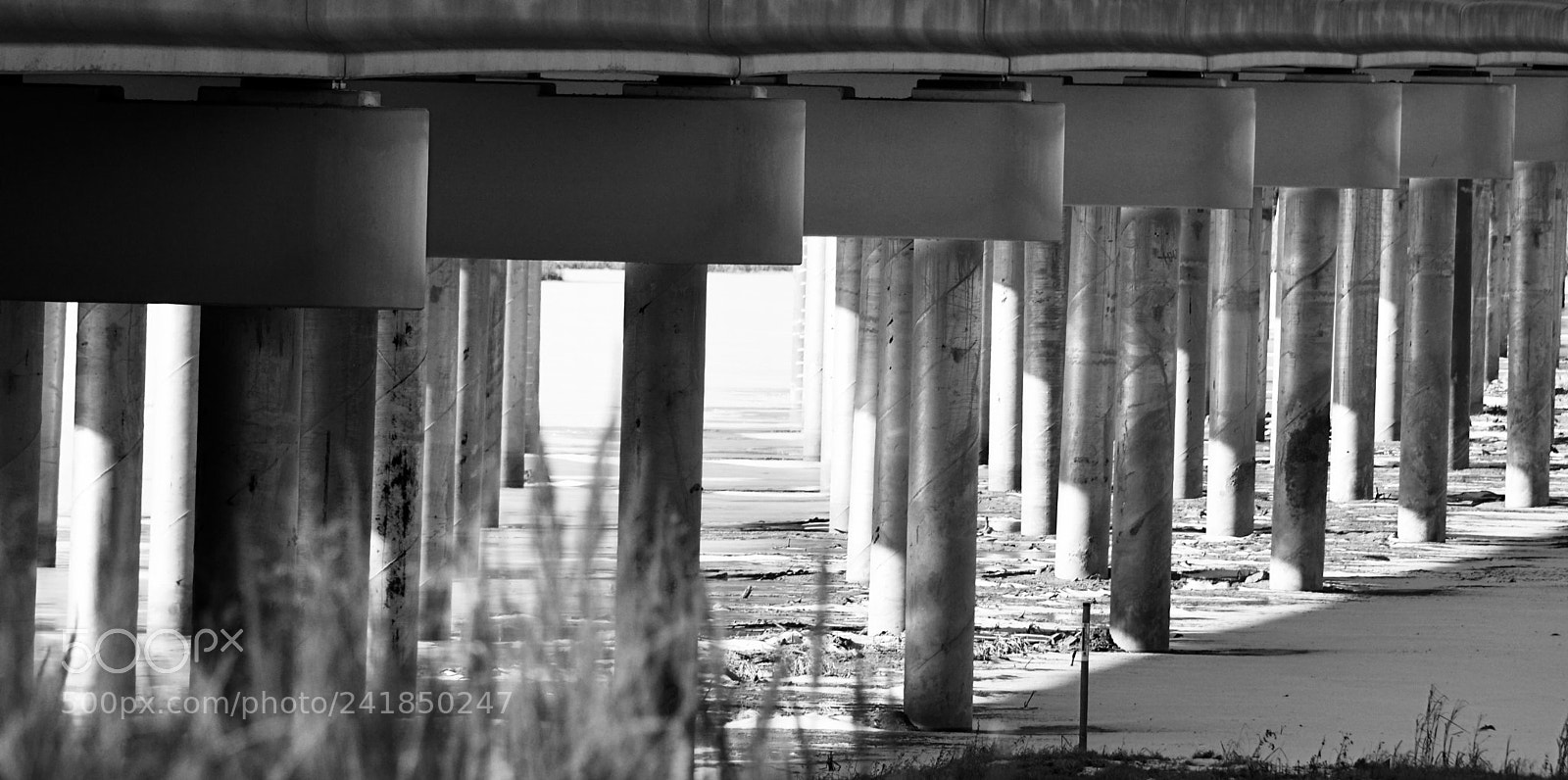 Canon EOS 750D (EOS Rebel T6i / EOS Kiss X8i) sample photo. Bridge photography