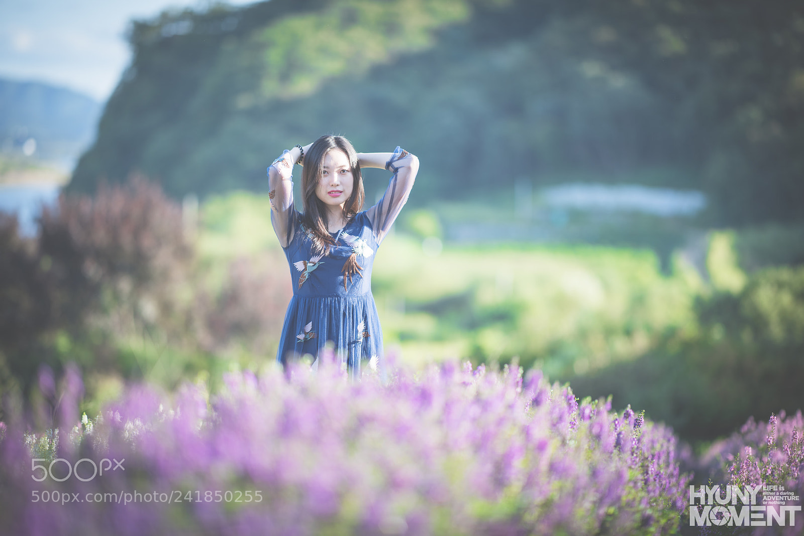 Nikon D810 sample photo. Koo photography