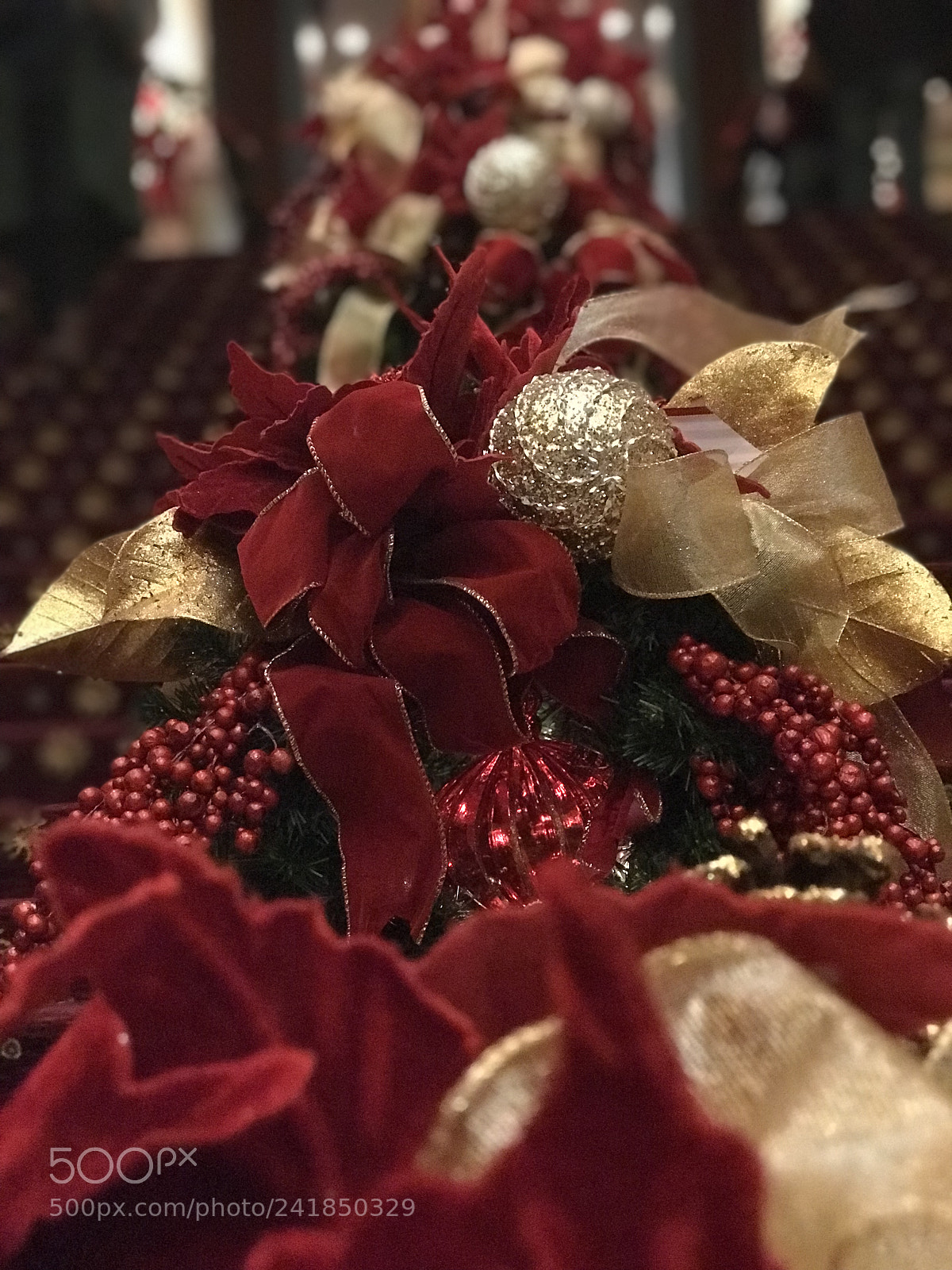 Apple iPhone 7 Plus sample photo. Untitled photography