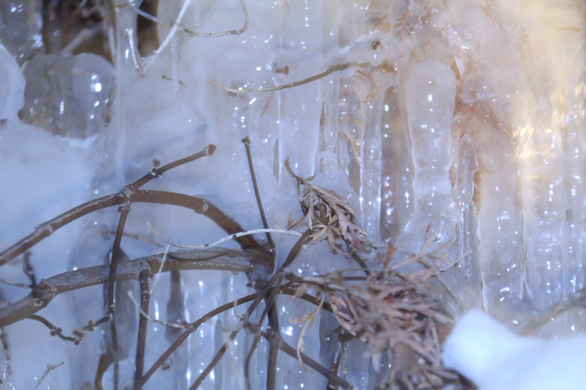 Canon EOS 1200D (EOS Rebel T5 / EOS Kiss X70 / EOS Hi) sample photo. Buried in icicles. Похоронен в сосульках. 埋在冰柱裡。 photography