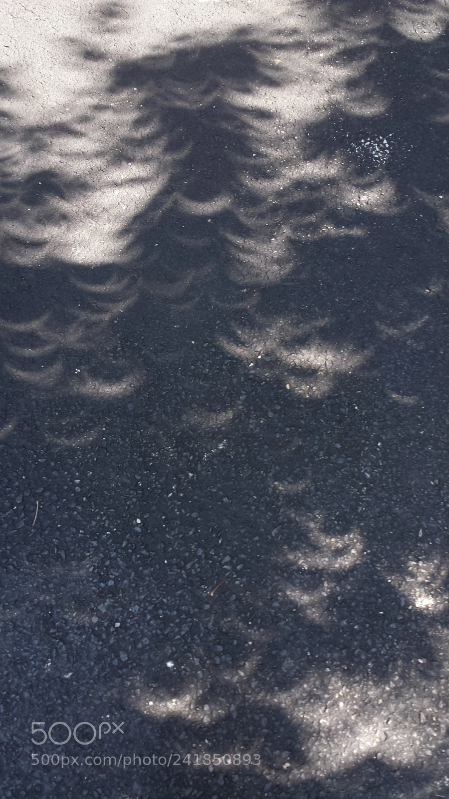 Samsung Galaxy S4 sample photo. Eclipse through the leaves photography