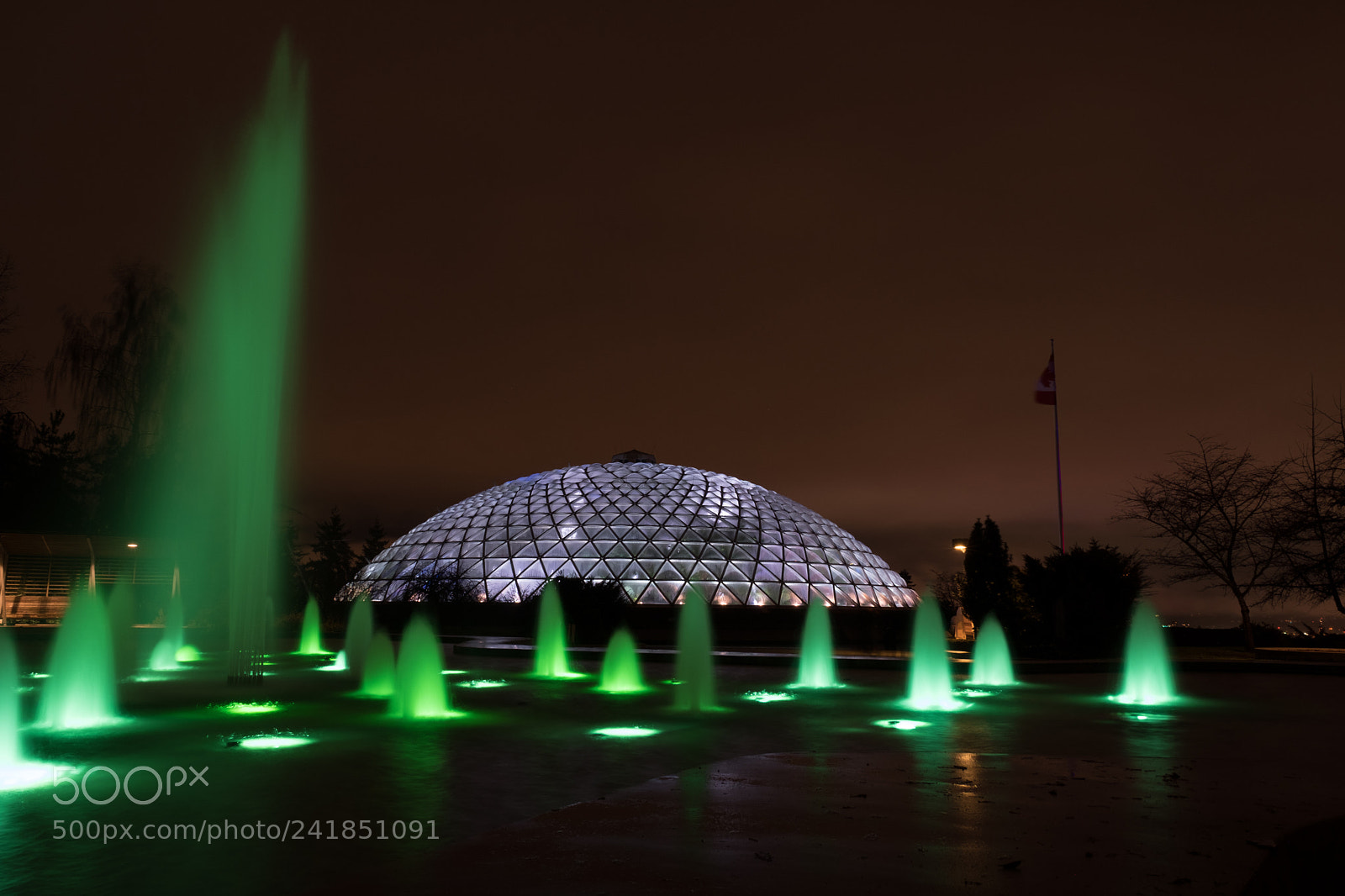 Fujifilm X-Pro2 sample photo. Bloedel conservatory photography