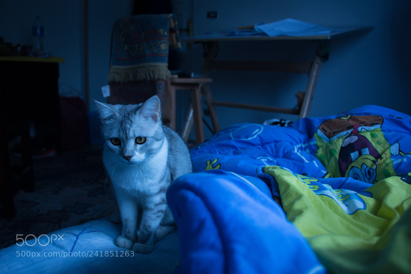 Nikon D7100 sample photo. Sad! photography