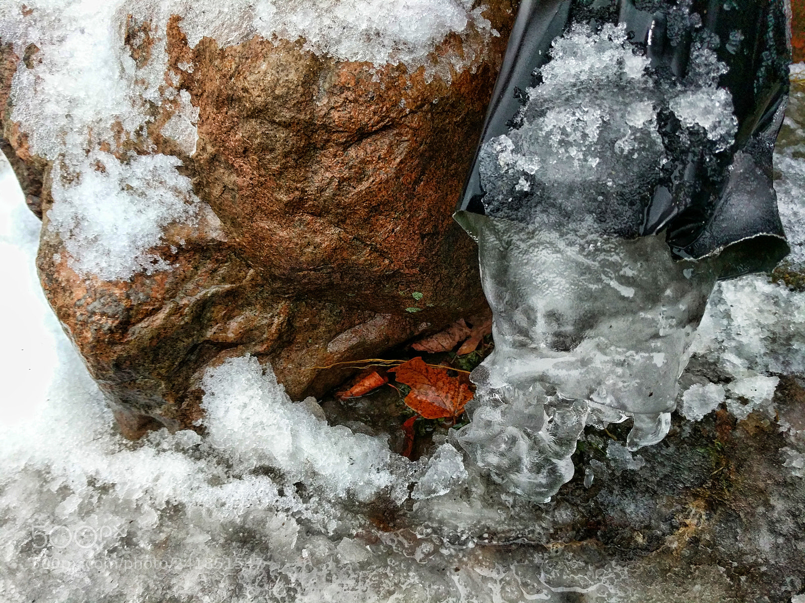 Google Pixel XL sample photo. Leaf ice photography