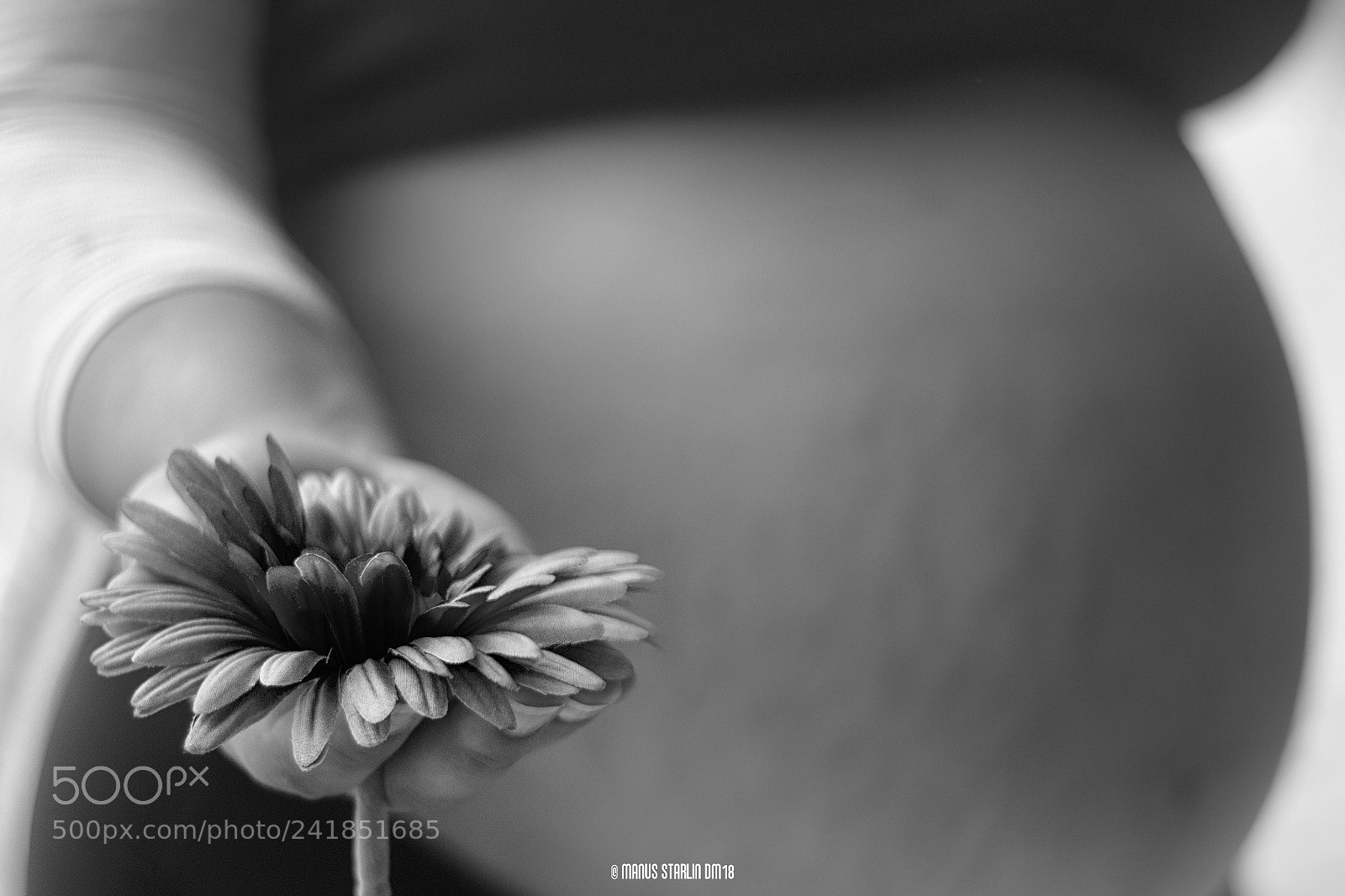 Canon EOS 60D sample photo. "flor de la vida". photography