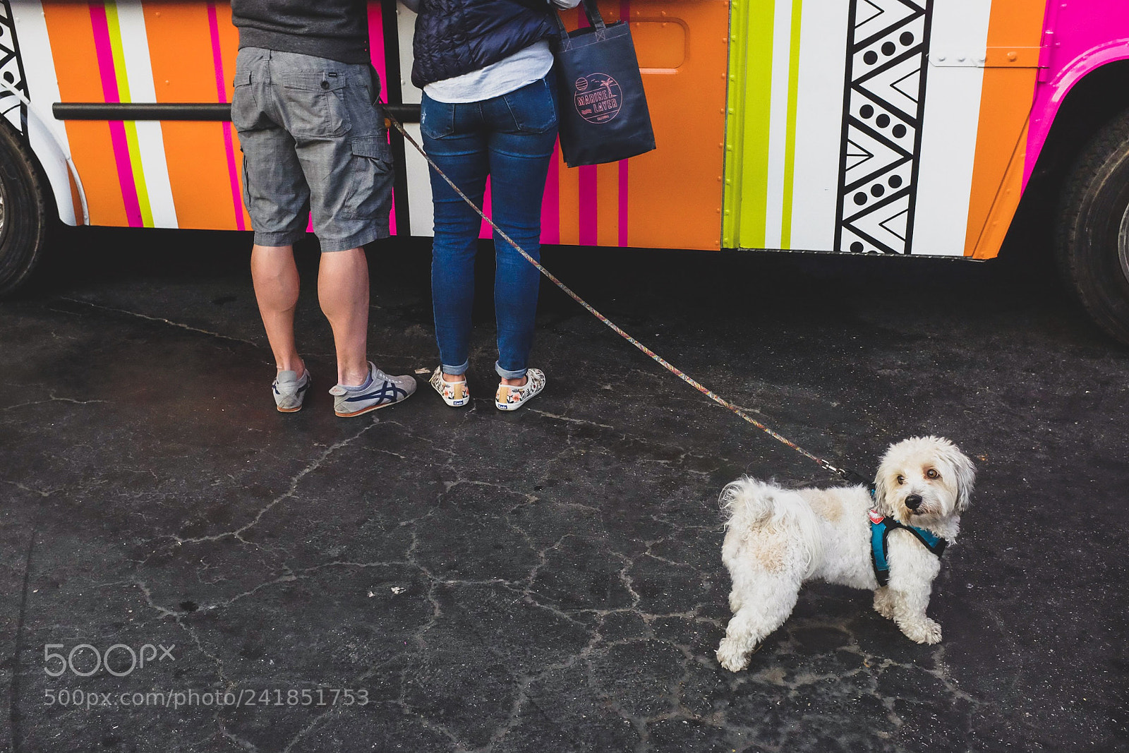 Fujifilm X100S sample photo. Dog in venice photography