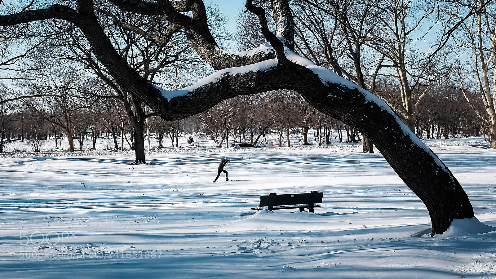 Fujifilm X100T sample photo. A hardy soul photography
