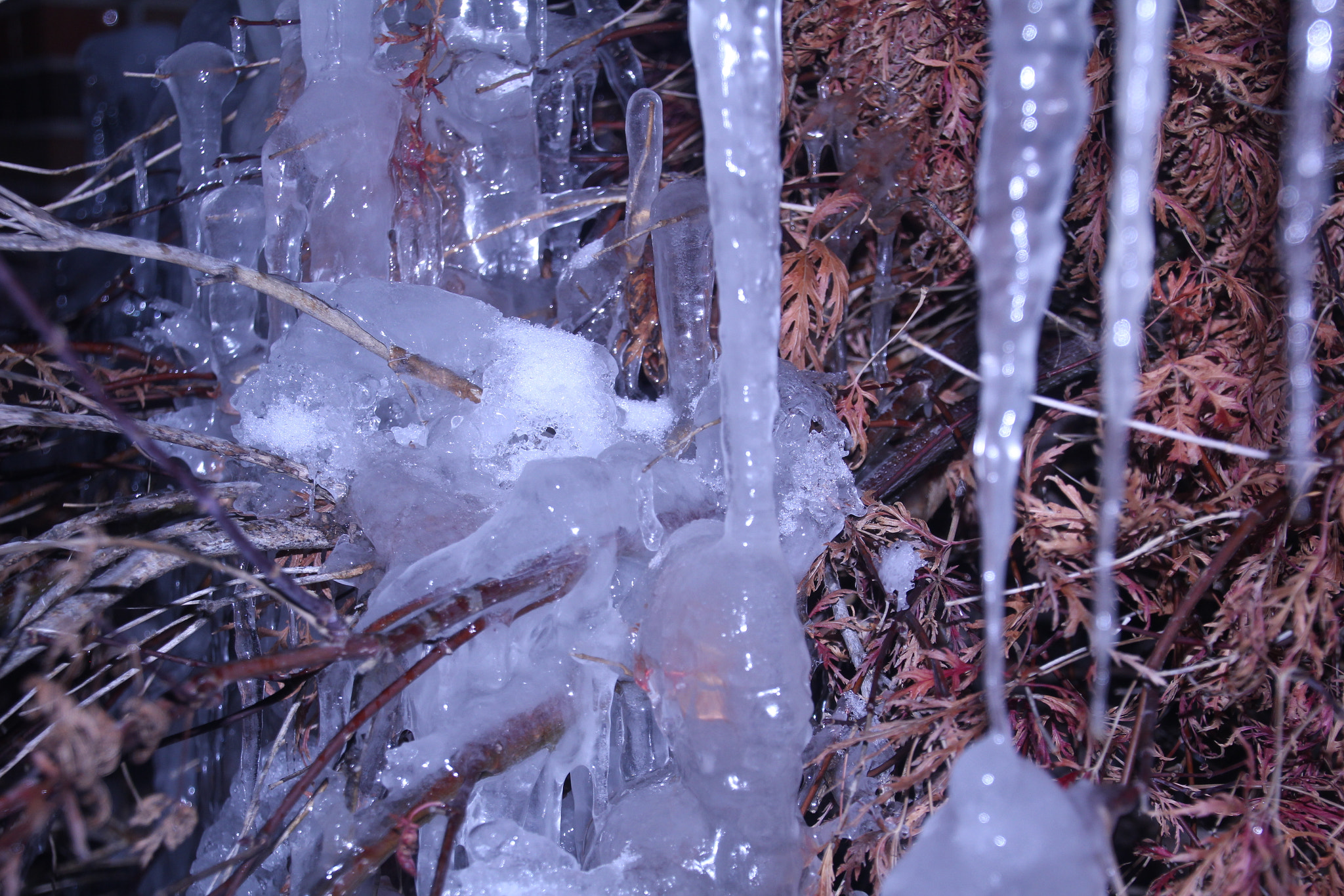 Canon EOS 1200D (EOS Rebel T5 / EOS Kiss X70 / EOS Hi) sample photo. Icicles and hibernation. Сосульки и гибернация. photography