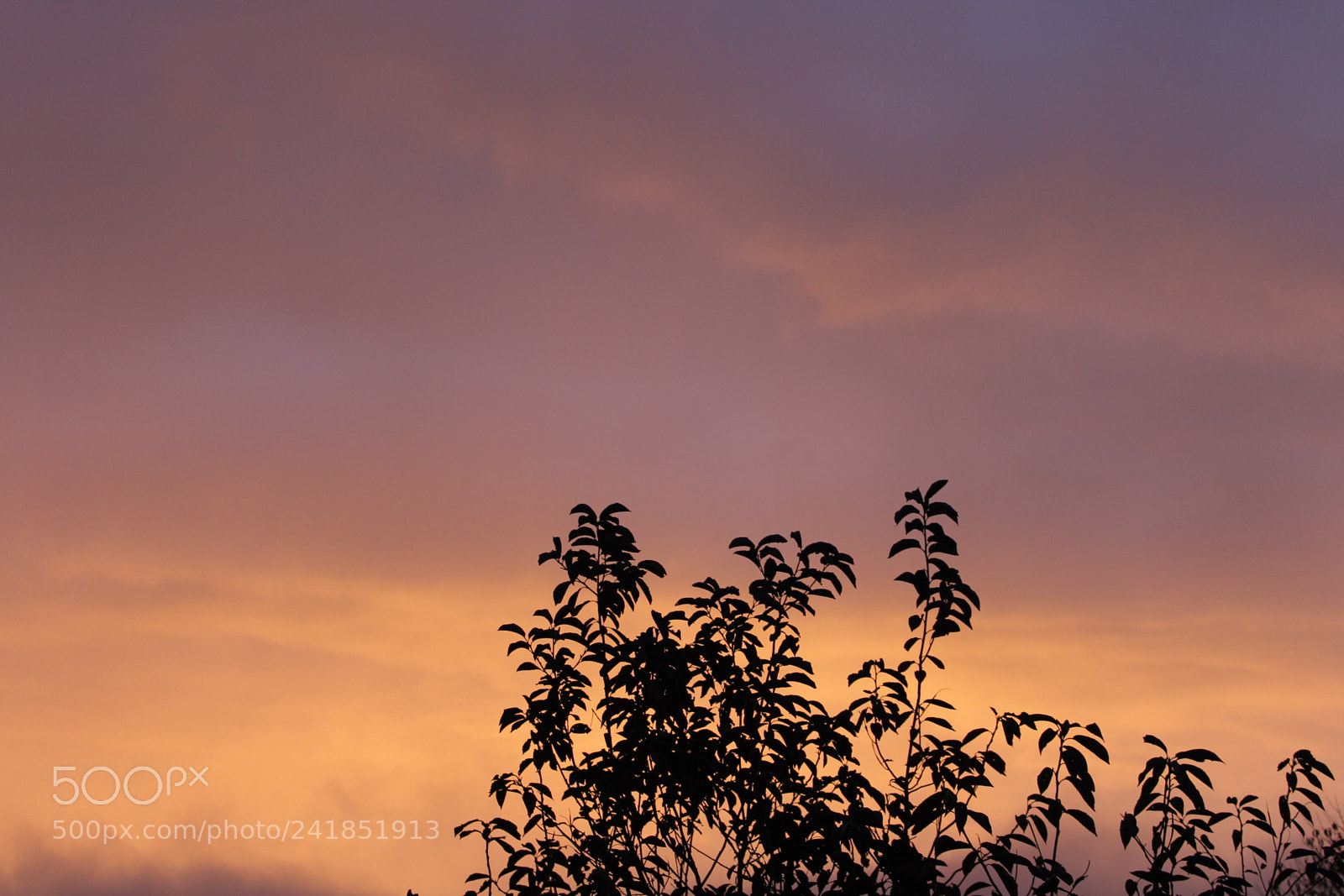 Canon EOS 1200D (EOS Rebel T5 / EOS Kiss X70 / EOS Hi) sample photo. Suburban views photography